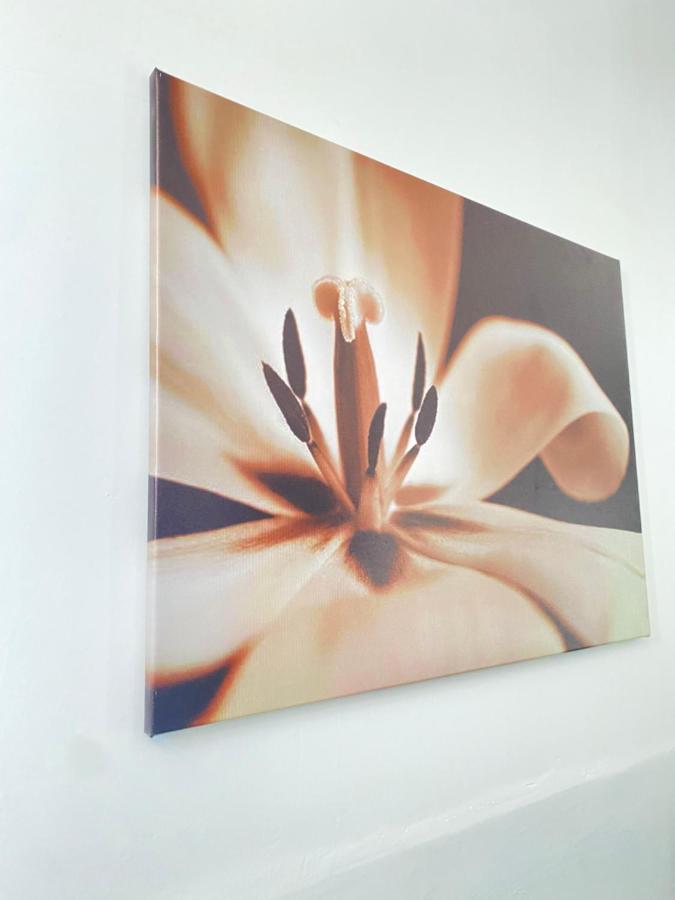 Best Rooms - Quarto 1 Plateau Praia Bagian luar foto